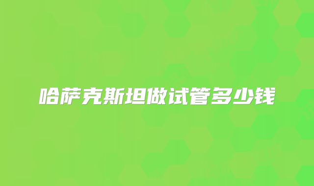 哈萨克斯坦做试管多少钱