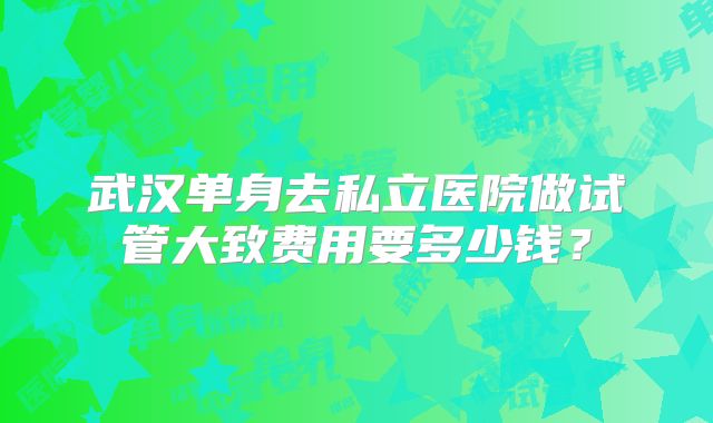 武汉单身去私立医院做试管大致费用要多少钱?