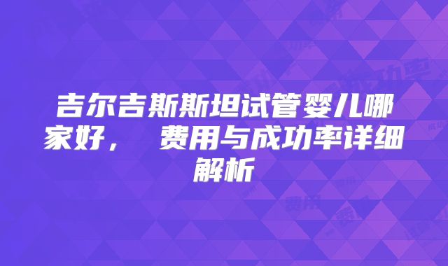 吉尔吉斯斯坦试管婴儿哪家好， 费用与成功率详细解析