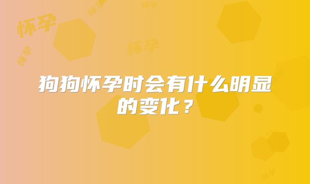狗狗怀孕时会有什么明显的变化？