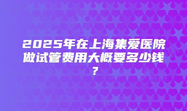 2025年在上海集爱医院做试管费用大概要多少钱？