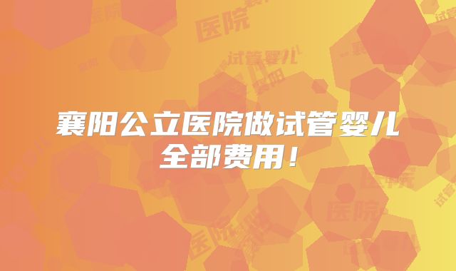 襄阳公立医院做试管婴儿全部费用！