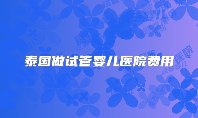 泰国做试管婴儿医院费用