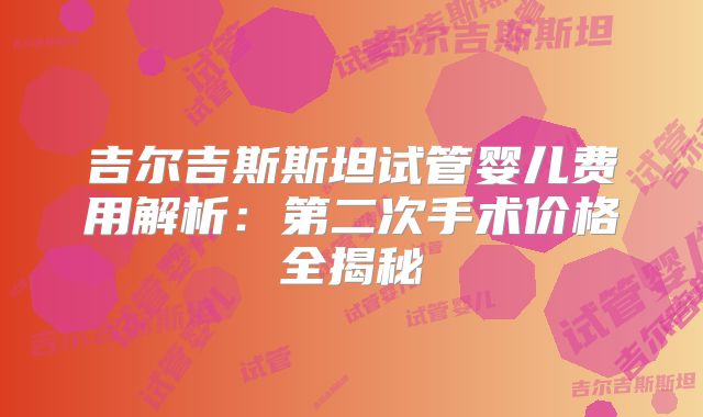 吉尔吉斯斯坦试管婴儿费用解析:第二次手术价格全揭秘