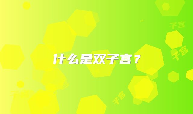 什么是双子宫？