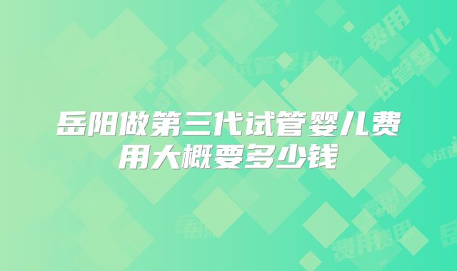 岳阳做第三代试管婴儿费用大概要多少钱