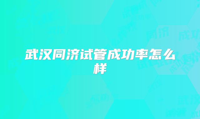 武汉同济试管成功率怎么样