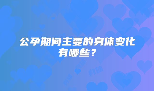 公孕期间主要的身体变化有哪些？