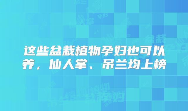 这些盆栽植物孕妇也可以养，仙人掌、吊兰均上榜