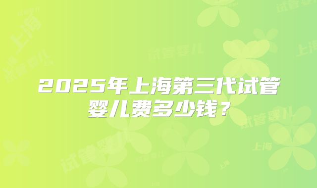 2025年上海第三代试管婴儿费多少钱？