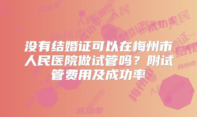 没有结婚证可以在梅州市人民医院做试管吗?附试管费用及成功率
