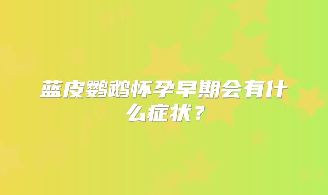 蓝皮鹦鹉怀孕早期会有什么症状？