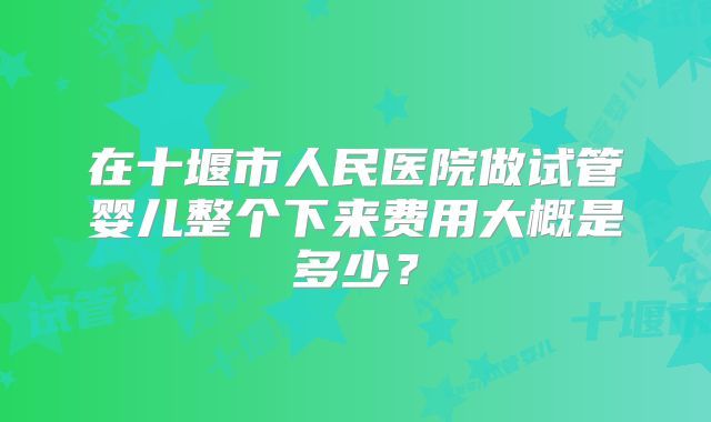 在十堰市人民医院做试管婴儿整个下来费用大概是多少？