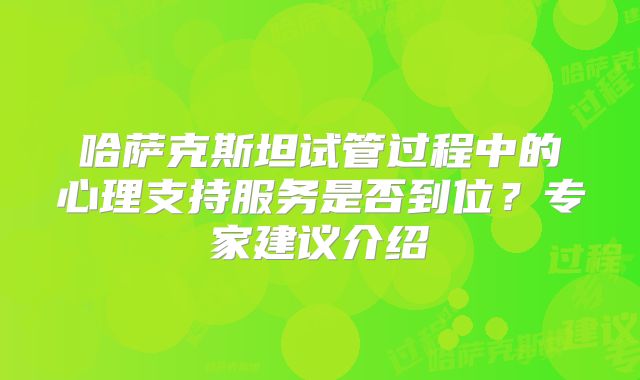 哈萨克斯坦试管过程中的心理支持服务是否到位？专家建议介绍