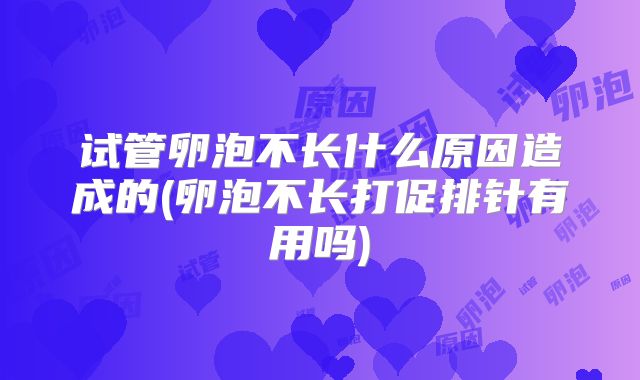 试管卵泡不长什么原因造成的(卵泡不长打促排针有用吗)
