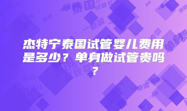 杰特宁泰国试管婴儿费用是多少？单身做试管贵吗？