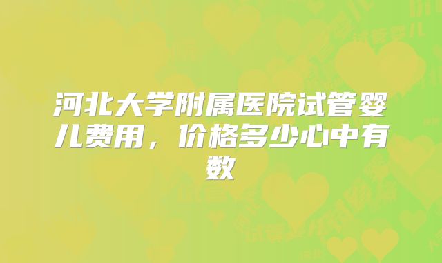 河北大学附属医院试管婴儿费用，价格多少心中有数