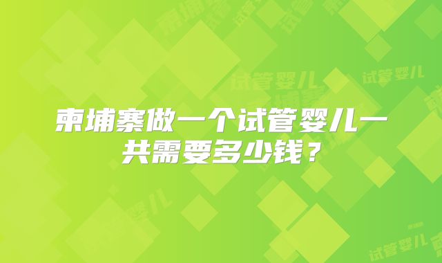 柬埔寨做一个试管婴儿一共需要多少钱？
