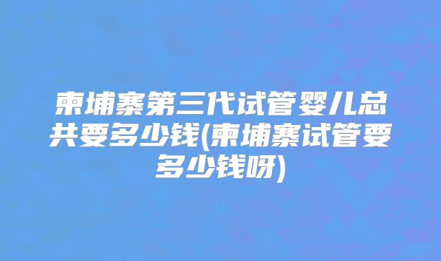 柬埔寨第三代试管婴儿总共要多少钱(柬埔寨试管要多少钱呀)