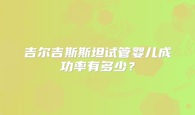 吉尔吉斯斯坦试管婴儿成功率有多少？
