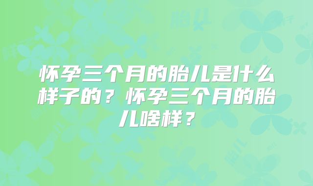 怀孕三个月的胎儿是什么样子的?怀孕三个月的胎儿啥样?