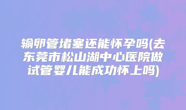 输卵管堵塞还能怀孕吗(去东莞市松山湖中心医院做试管婴儿能成功怀上吗)