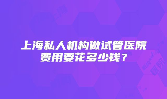 上海私人机构做试管医院费用要花多少钱?