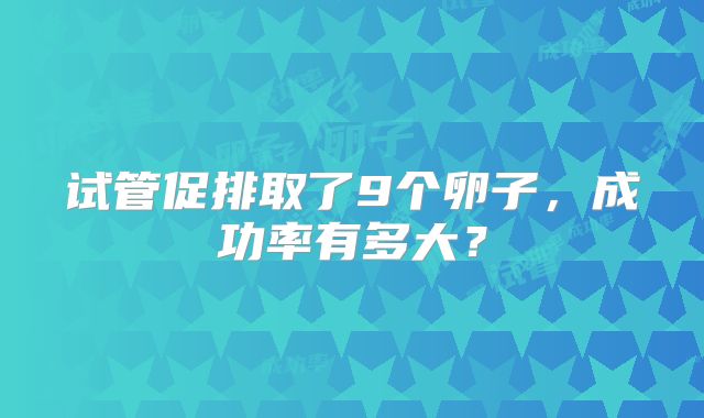 试管促排取了9个卵子，成功率有多大？