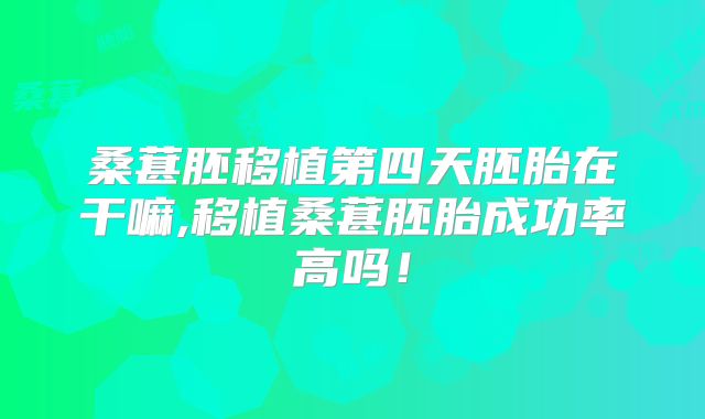 桑葚胚移植第四天胚胎在干嘛,移植桑葚胚胎成功率高吗！