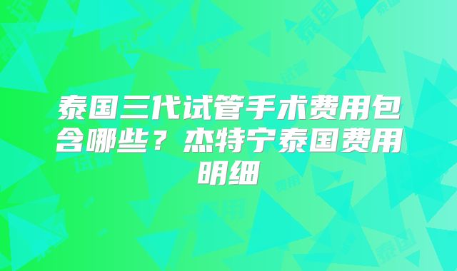 泰国三代试管手术费用包含哪些？杰特宁泰国费用明细