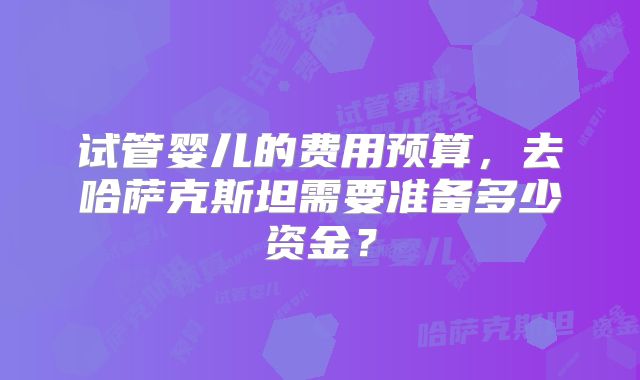 试管婴儿的费用预算，去哈萨克斯坦需要准备多少资金？