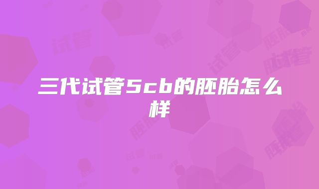 三代试管5cb的胚胎怎么样