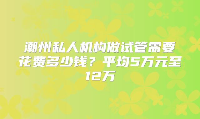 潮州私人机构做试管需要花费多少钱？平均5万元至12万