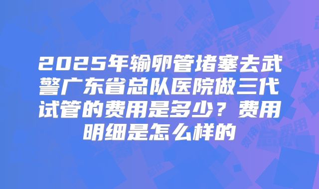 2025年输卵管堵塞去武警广东省总队医院做三代试管的费用是多少?费用明细是怎么样的