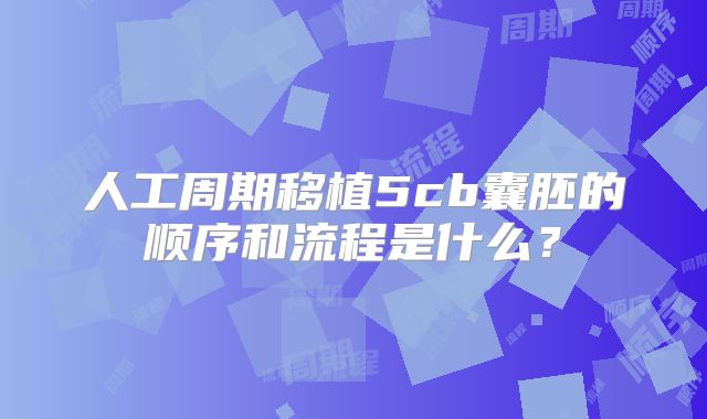 人工周期移植5cb囊胚的顺序和流程是什么？