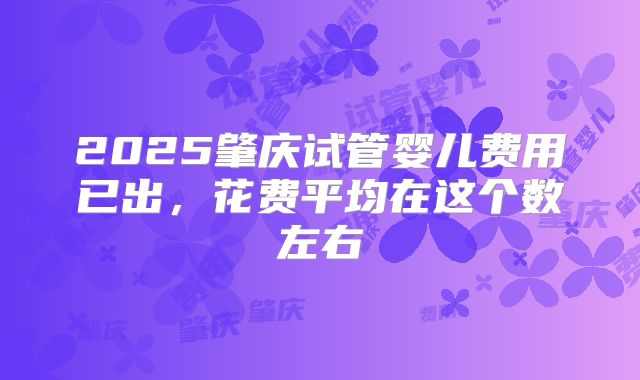 2025肇庆试管婴儿费用已出，花费平均在这个数左右
