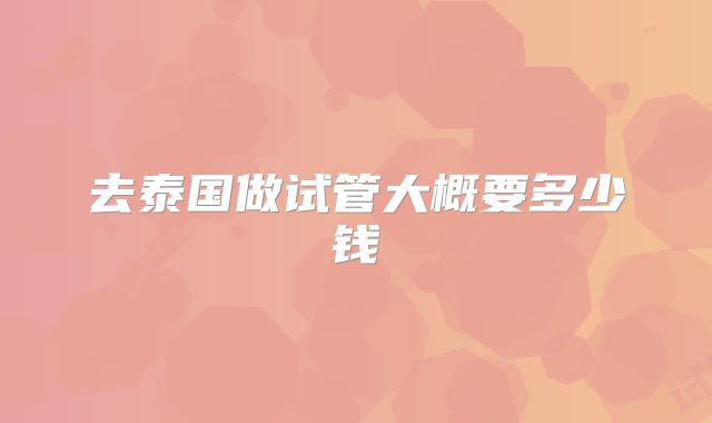 去泰国做试管大概要多少钱