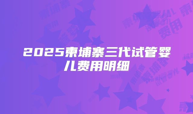 2025柬埔寨三代试管婴儿费用明细