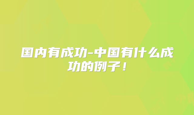 国内有成功-中国有什么成功的例子！