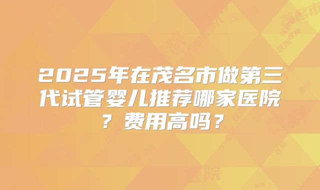 2025年在茂名市做第三代试管婴儿推荐哪家医院？费用高吗？