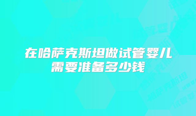 在哈萨克斯坦做试管婴儿需要准备多少钱