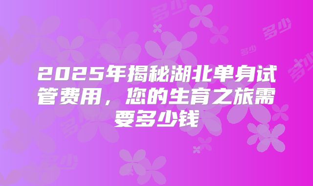 2025年揭秘湖北单身试管费用,您的生育之旅需要多少钱