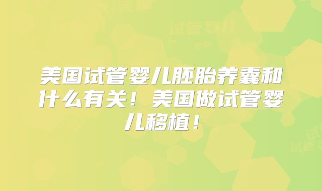 美国试管婴儿胚胎养囊和什么有关！美国做试管婴儿移植！