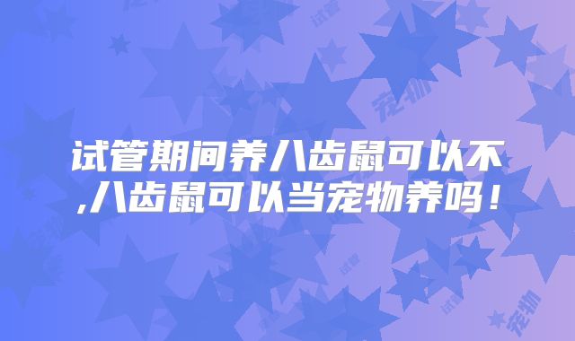 试管期间养八齿鼠可以不,八齿鼠可以当宠物养吗！