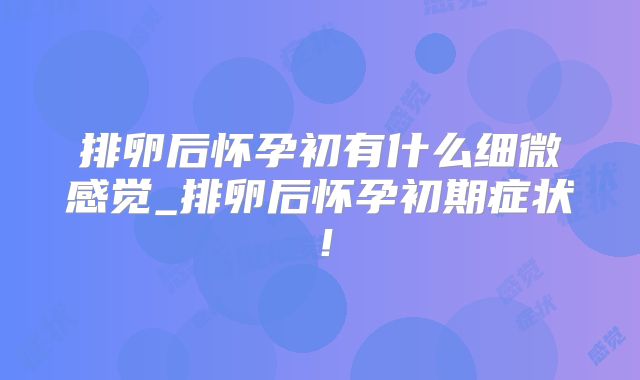 排卵后怀孕初有什么细微感觉_排卵后怀孕初期症状!