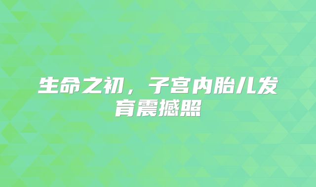 生命之初，子宫内胎儿发育震撼照