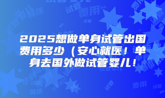 2025想做单身试管出国费用多少(安心就医!单身去国外做试管婴儿!