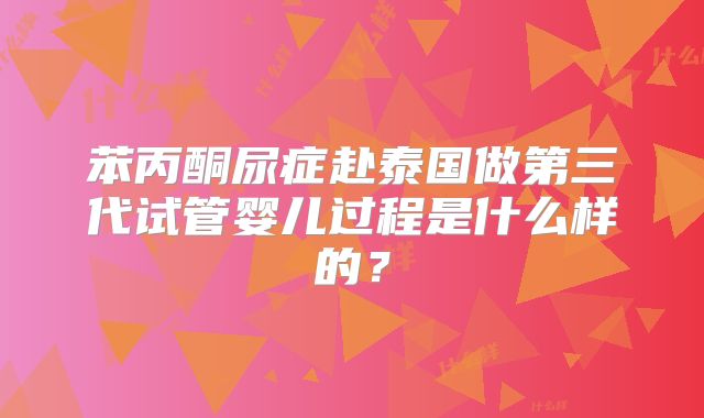 苯丙酮尿症赴泰国做第三代试管婴儿过程是什么样的？