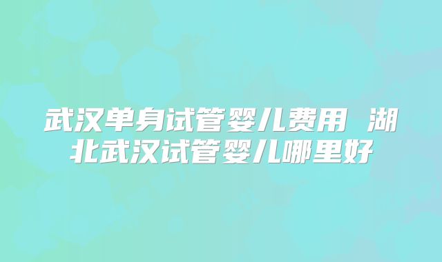 武汉单身试管婴儿费用 湖北武汉试管婴儿哪里好