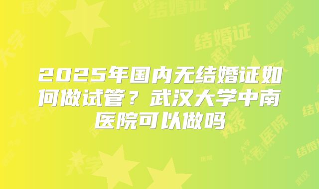 2025年国内无结婚证如何做试管?武汉大学中南医院可以做吗
